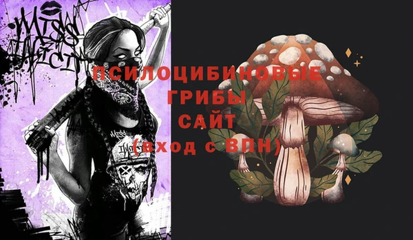 прущие крисы Абаза