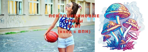 прущие крисы Абаза