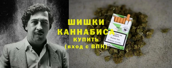 прущие крисы Абаза